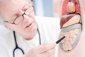 Understanding Digestive Tract Paralysis
