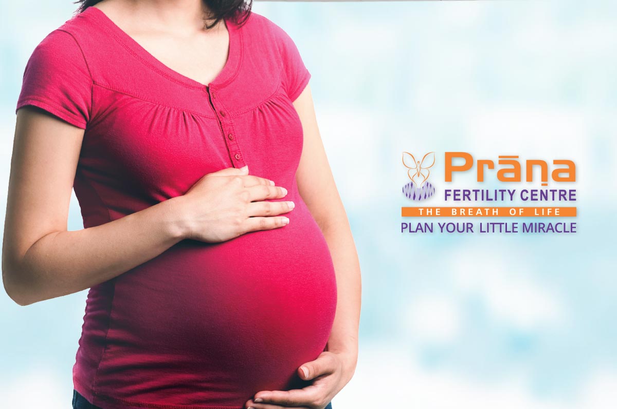 drkmh-prana-infertility-clinic.jpg